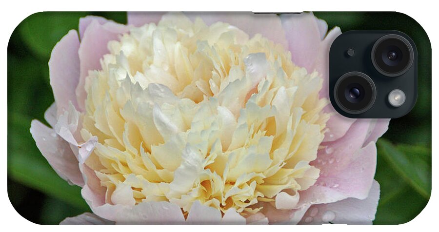 Pink Peony iPhone Case featuring the photograph Two-toned by Sandy Keeton