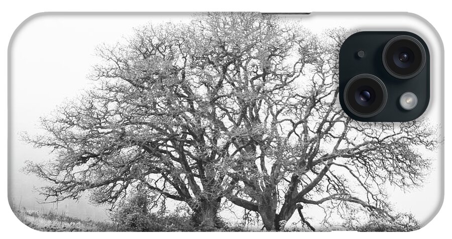Fog iPhone Case featuring the photograph Two Trees by Catherine Avilez