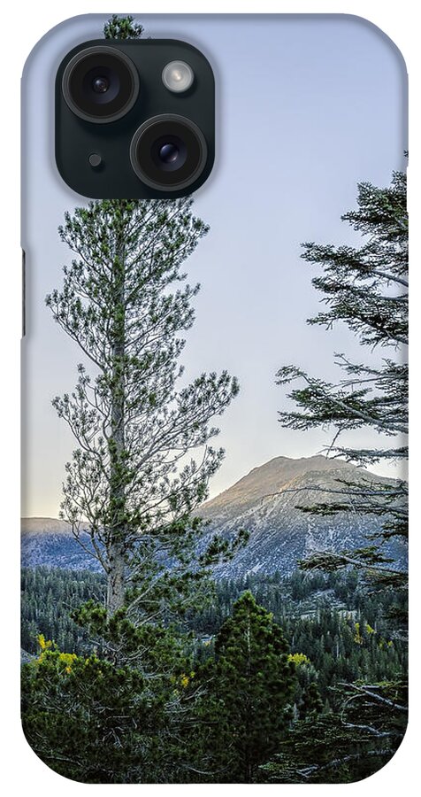 America iPhone Case featuring the photograph Two Trees by Maria Coulson