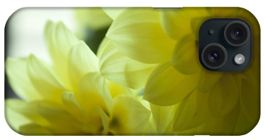 Petal iPhone Case featuring the photograph Two Yellow Flower by Martin Valeriano