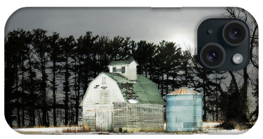 Barn iPhone Case featuring the photograph Twos Company by Julie Hamilton