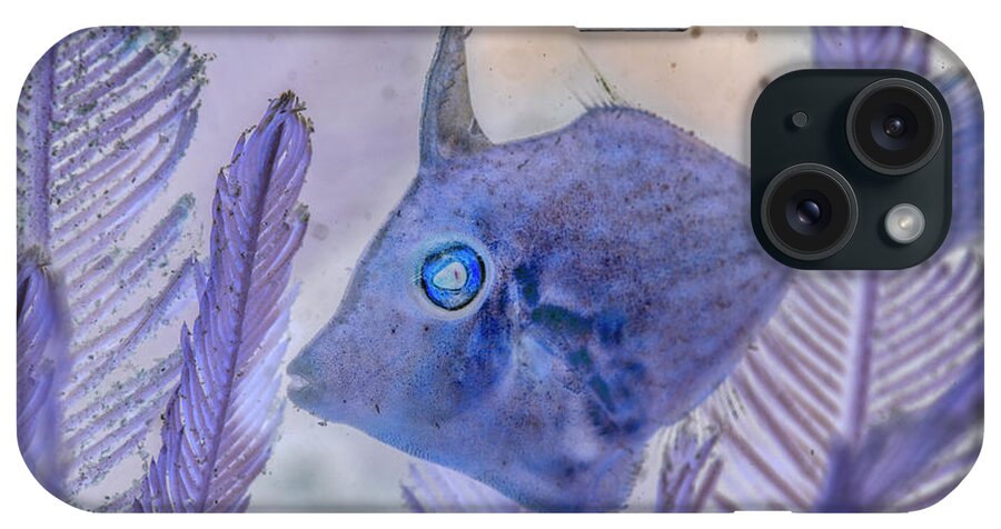 Florida iPhone Case featuring the photograph Under the Sea Colorful Watercolor Art #8 by Debra and Dave Vanderlaan