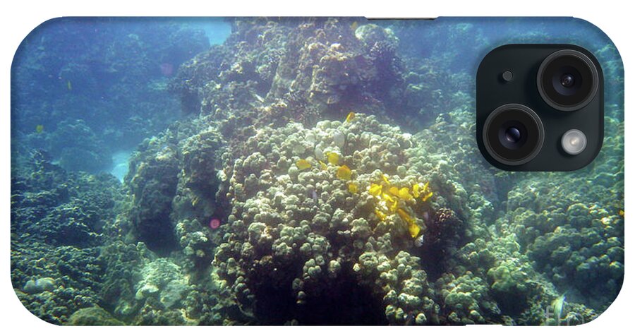 Underwater iPhone Case featuring the photograph Underwater World by Karen Nicholson