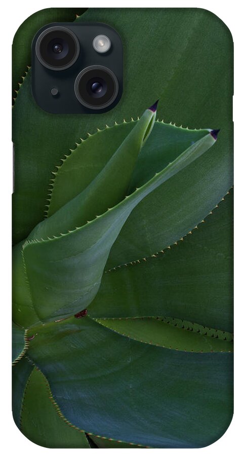 Cactus iPhone Case featuring the photograph Unfolding by Roger Mullenhour