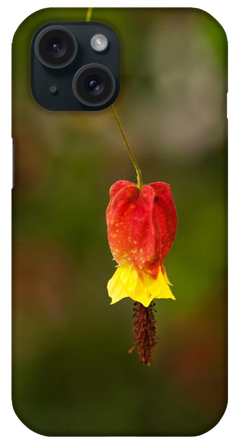 Flower iPhone Case featuring the photograph Unknown Flower by Catherine Lau