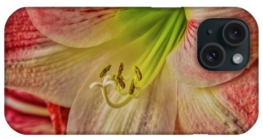 Amaryllis iPhone Case featuring the photograph Up Close and Personal by Dave Bosse