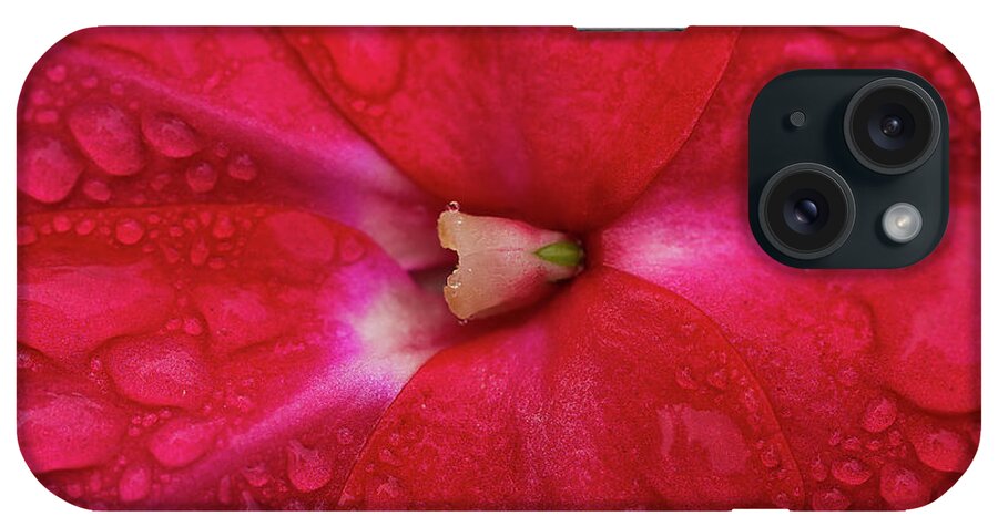 Granger Photography iPhone Case featuring the photograph Up Close With Impatiens by Brad Granger