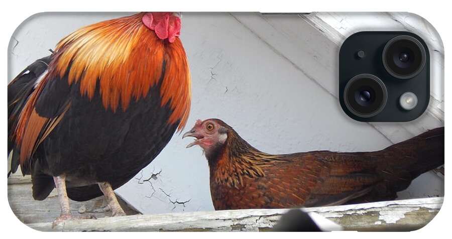 Rooster iPhone Case featuring the photograph Up On The Roof by Jan Gelders