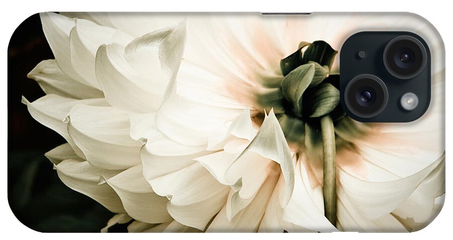 Flower iPhone Case featuring the photograph Upskirt by Maggie Terlecki