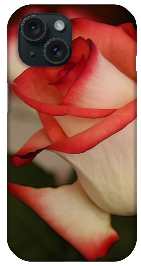 Greeting iPhone Case featuring the photograph Valentine Rose by Yvonne Wright