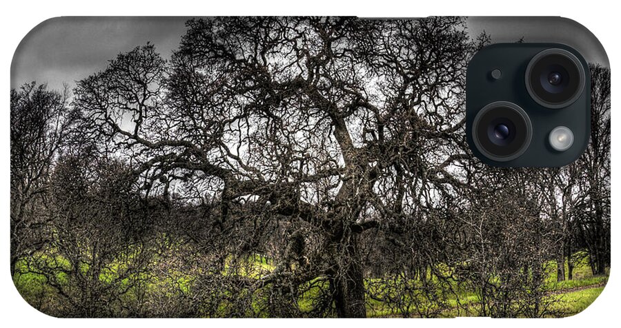 Landscape iPhone Case featuring the photograph Valley Oak by Lee Santa
