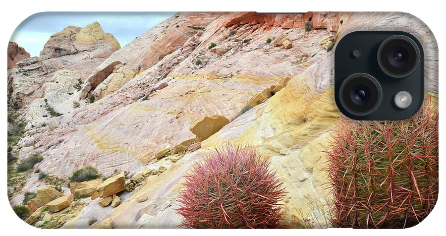Valley Of Fire State Park iPhone Case featuring the photograph Valley of Fire Barrel Cactus by Ray Mathis