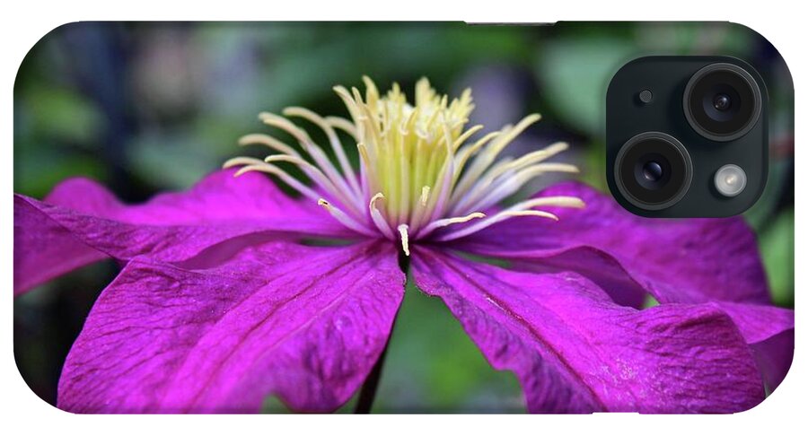 Clematis iPhone Case featuring the photograph Valor by Michiale Schneider