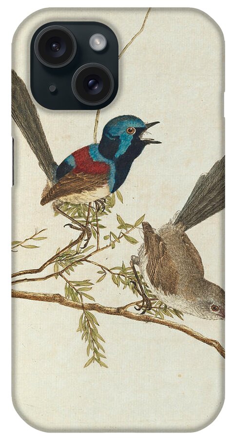 John Lewin iPhone Case featuring the drawing Variegated Warbler by John Lewin