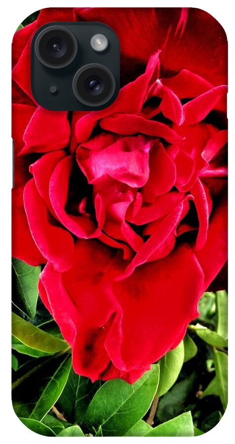 Red Rose iPhone Case featuring the photograph Velvet Red Rose by Joan-Violet Stretch