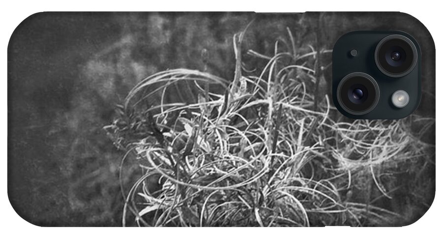 Driedflowers iPhone Case featuring the photograph Verdorrt.

#monochrome #bnw #natur by Mandy Tabatt