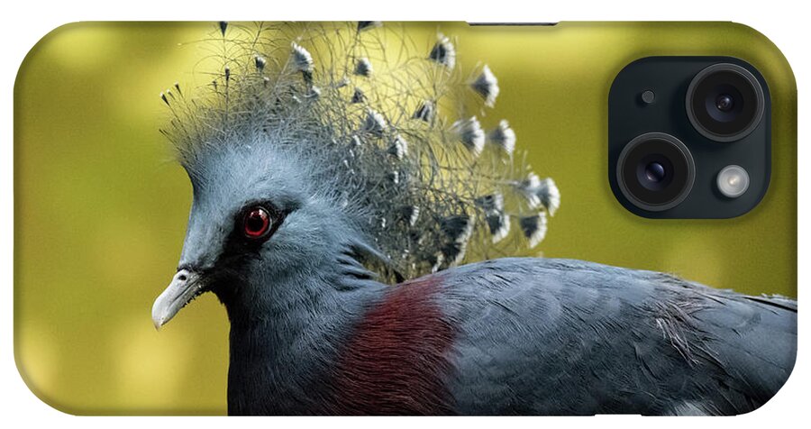 Bird iPhone Case featuring the photograph Victoria Crowned Pigeon by Ed Taylor