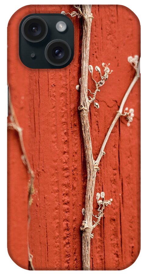 Jay Stockhaus iPhone Case featuring the photograph Vine by Jay Stockhaus