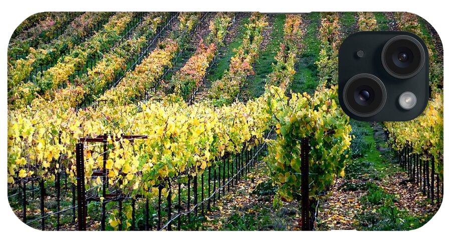 Vineyards iPhone Case featuring the photograph Vineyards in Healdsburg by Charlene Mitchell