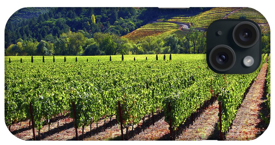 Vineyards iPhone Case featuring the photograph Vineyards in Sonoma County by Charlene Mitchell