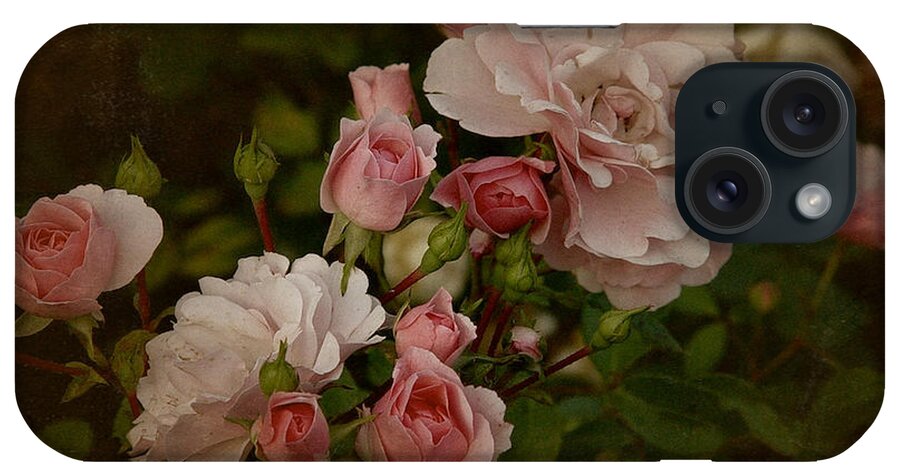 Rose iPhone Case featuring the photograph Vintage June 2016 Roses by Richard Cummings