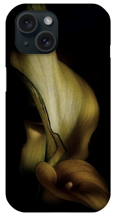 Calla Lily iPhone Case featuring the photograph Vintage Calla Lily by Richard Cummings