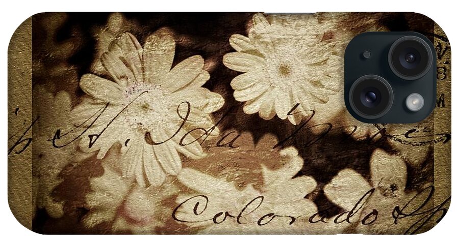 Vintage iPhone Case featuring the photograph Vintage Daisy Postcard by Clare Bevan
