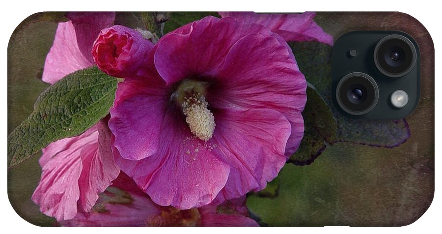 Pink Hollyhock iPhone Case featuring the photograph Vintage December Hollyhock by Richard Cummings