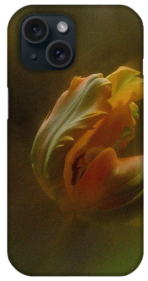 Tulip iPhone Case featuring the photograph Vintage Tulip March 2017 by Richard Cummings