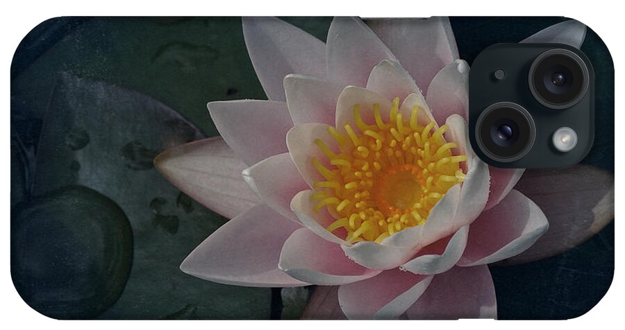 Water Lily iPhone Case featuring the photograph Vintage Water Lily by Richard Cummings