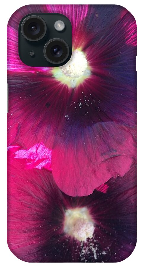 Flowers iPhone Case featuring the photograph Violet Flowers by Pamela Henry