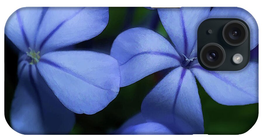 Flower iPhone Case featuring the photograph Violets by Frank Lee