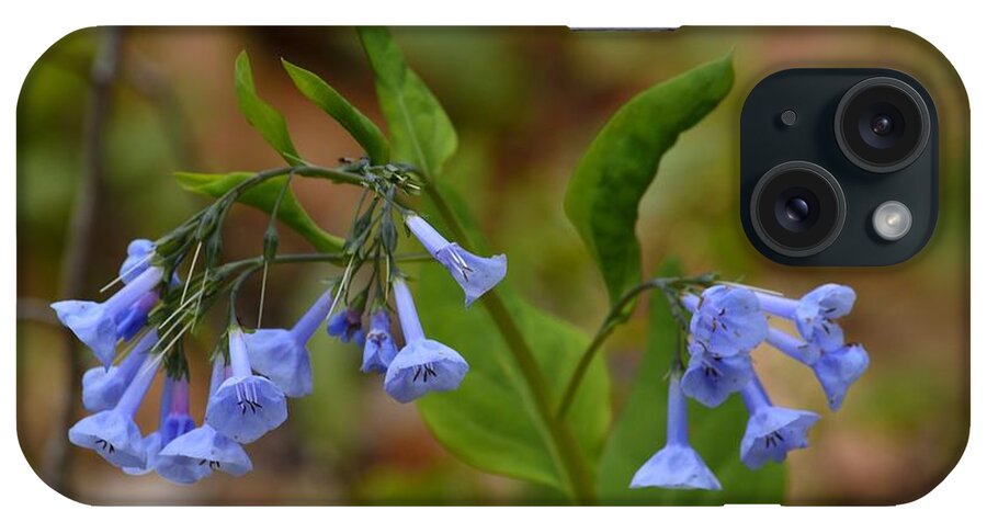 April Wildflowers iPhone Case featuring the photograph Virginia Bluebells by Randy Bodkins