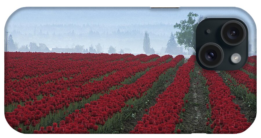 Scenic iPhone Case featuring the photograph WA Red Tulips by Doug Davidson