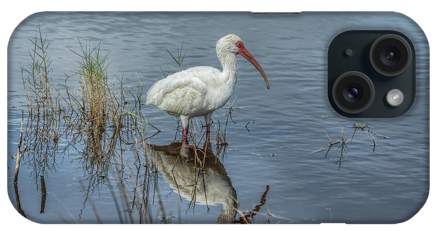 Animal iPhone Case featuring the photograph Wading White Ibis by John M Bailey