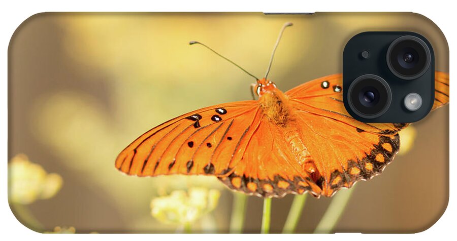 Butterfly iPhone Case featuring the photograph Wait Here by Ana V Ramirez