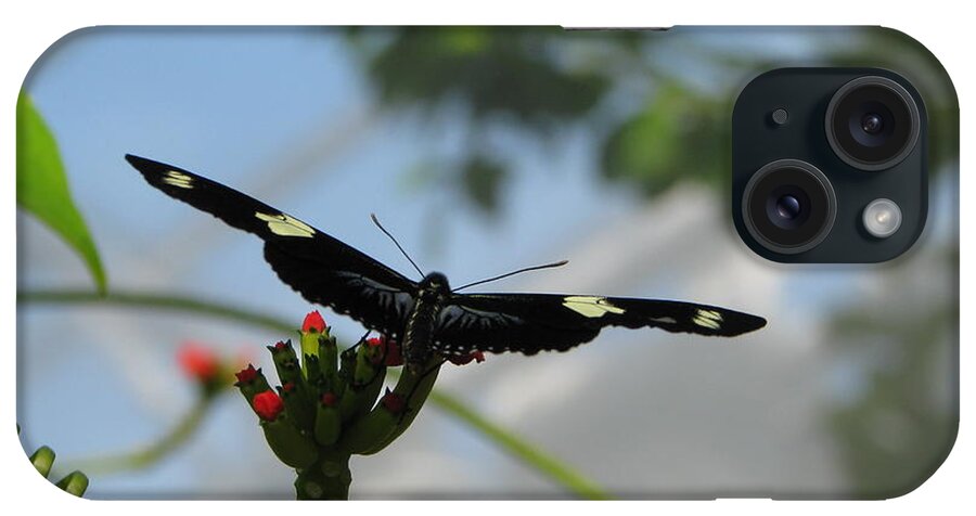 Butterfly iPhone Case featuring the photograph Waiting For Take Off by Michael Krek