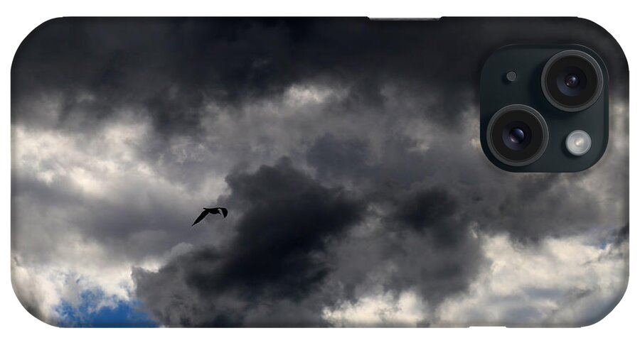 Clouds iPhone Case featuring the photograph Waiting for the Storm with Gull by Mary Bedy