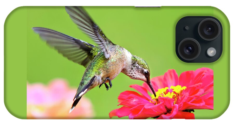 Hummingbird iPhone Case featuring the photograph Waiting in the Wings Hummingbird Square by Christina Rollo