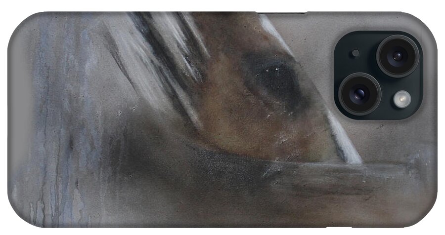 Canvas Prints iPhone Case featuring the painting Waiting by Jackie Flaten