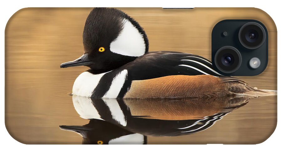 Nature iPhone Case featuring the photograph Waiting Patiently by Gerry Sibell