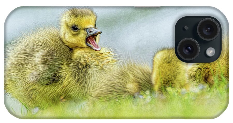 Geese iPhone Case featuring the photograph Wake Up by Cathy Kovarik