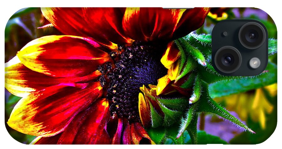 Sunflower iPhone Case featuring the photograph Waking Up by Gwyn Newcombe