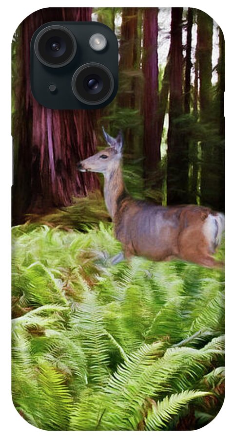 Jedediah Smith Redwoods State Park iPhone Case featuring the photograph Walk Among Giants by Lana Trussell
