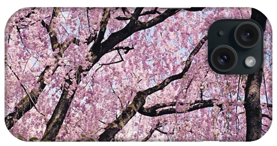 Flowerstagram iPhone Case featuring the photograph Walking Beneath Giant Cherry Blossom by Margaret Goodwin