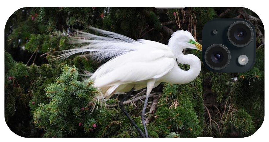 Egret iPhone Case featuring the photograph Walking thru the tree tops by Sandra Updyke
