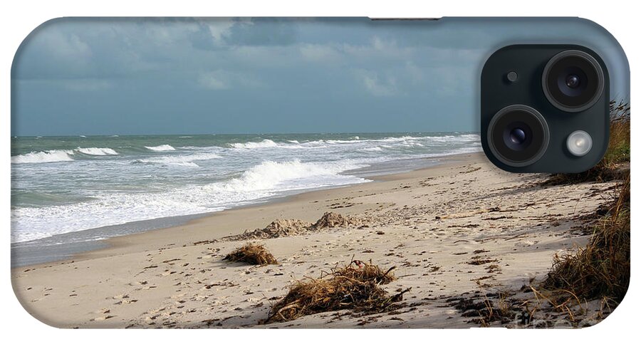 At The Beach iPhone Case featuring the photograph Walks on the Beach by Megan Dirsa-DuBois