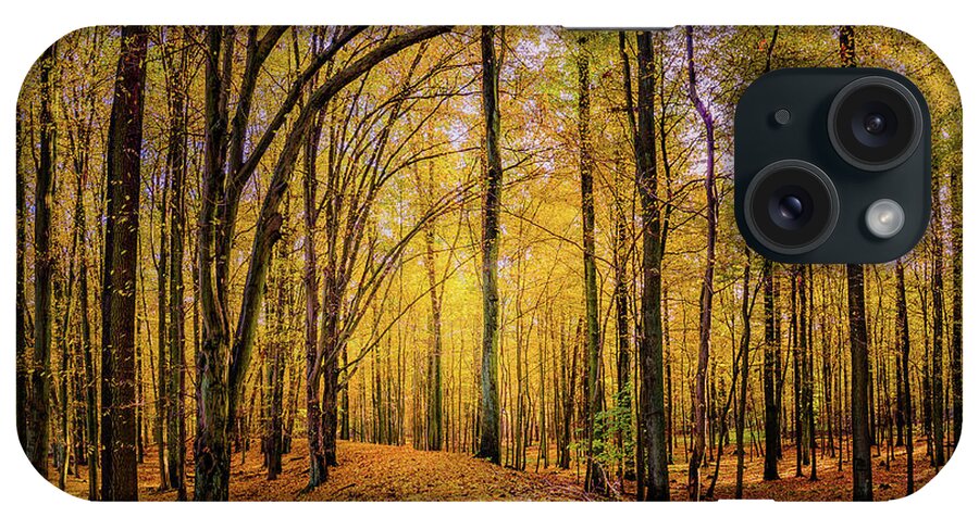Europe iPhone Case featuring the photograph Walkway in the autumn woods by Dmytro Korol