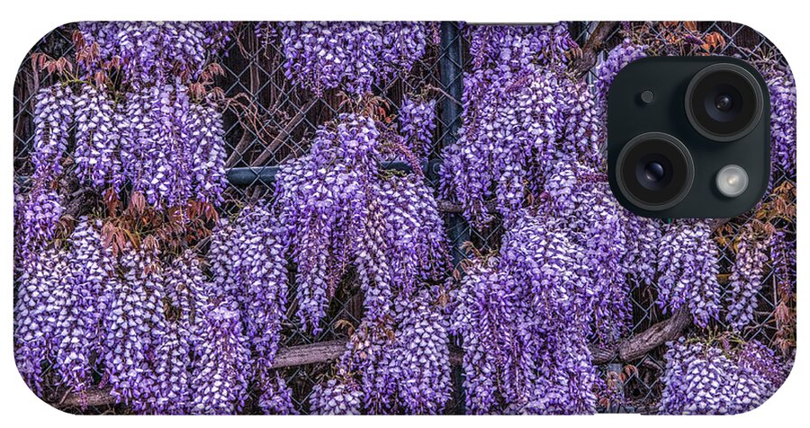 Beautiful iPhone Case featuring the photograph Wall of Wisteria by Connie Cooper-Edwards