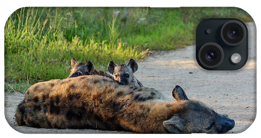 Hyenas iPhone Case featuring the photograph Warily watching by Gaelyn Olmsted